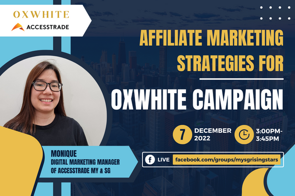 Affiliate Marketing Strategies Briefing for Oxwhite Campaign